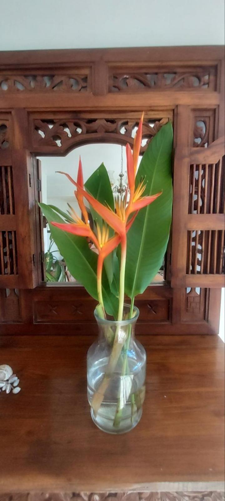 Residence71Nadi Fiji Esterno foto